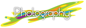 Welcome to Yellow Rabbit - Gloucestershire Printing Company